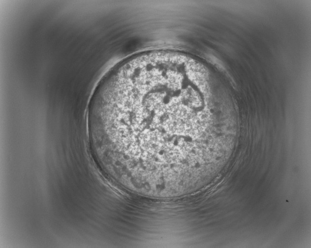 X0000063451275200602171848