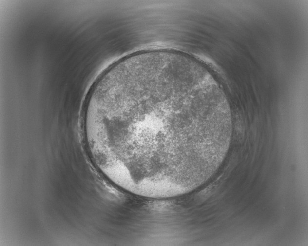 X0000063451278200602171848