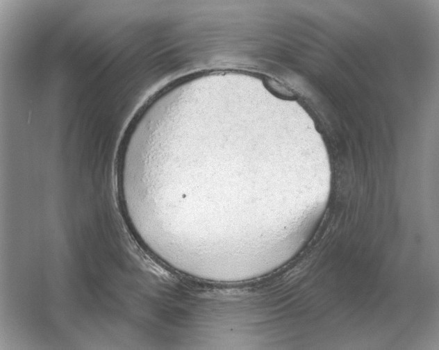 X0000063451280200602171848