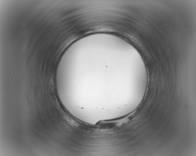 X0000063451281200602171848