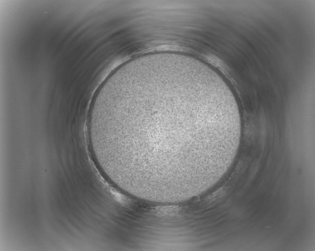 X0000063451282200602171848