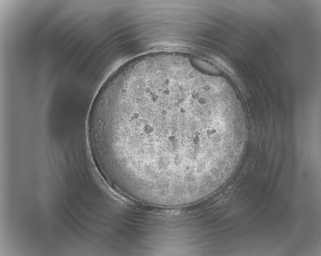 X0000063451283200602171848