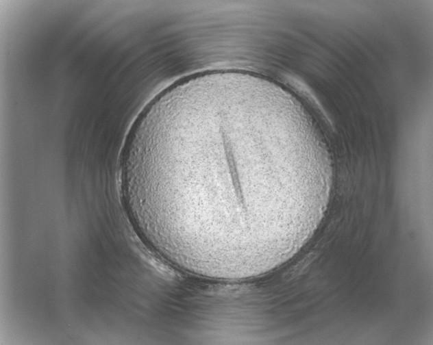 X0000063451284200602171848