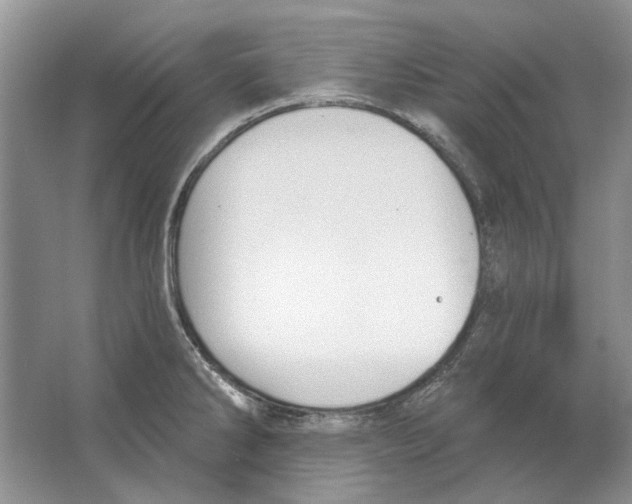 X0000063451286200602171848