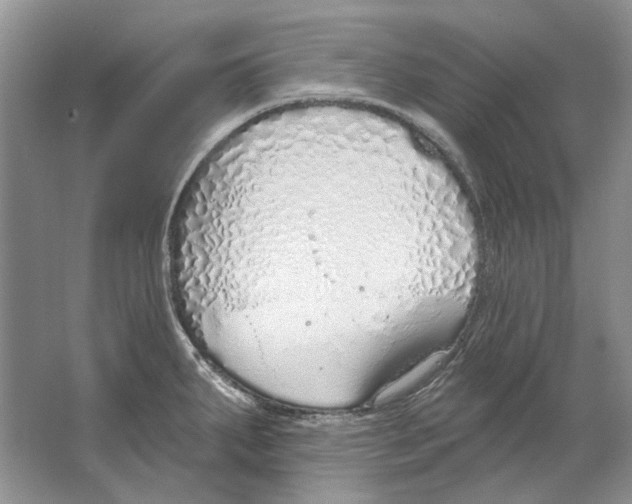 X0000063451287200602171848