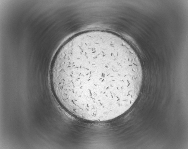 X0000063451288200602171847