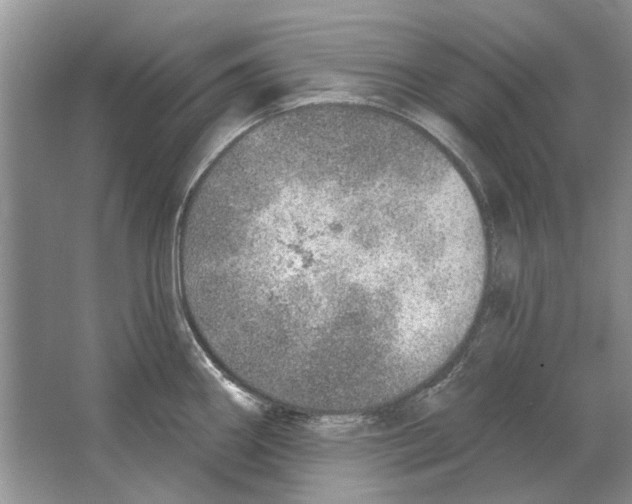 X0000063451290200602171847