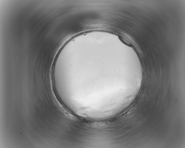 X0000063451291200602171847