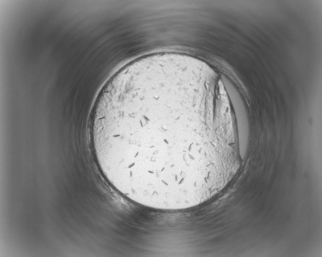 X0000063451292200602171847