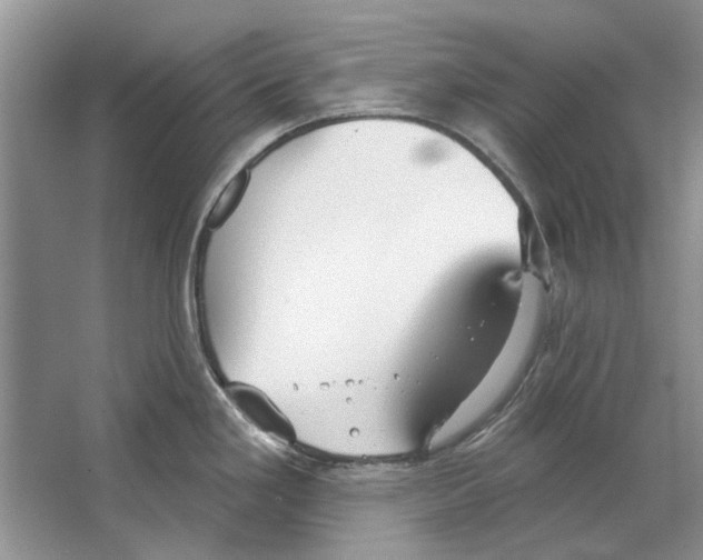 X0000063451293200602171847