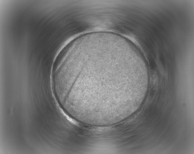 X0000063451294200602171847