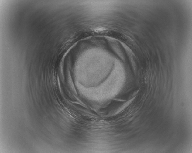 X0000063451298200602171847