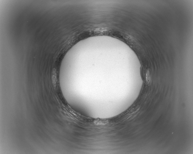 X0000063451299200602171847