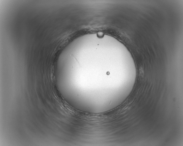 X0000063451300200602171847