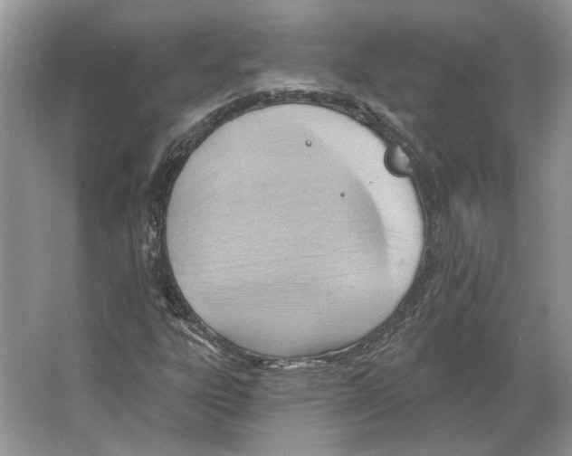 X0000063451303200602171847