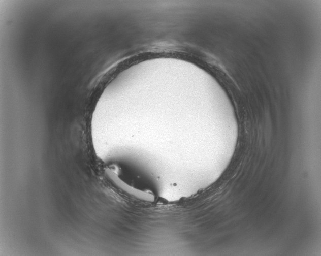 X0000063451304200602171847