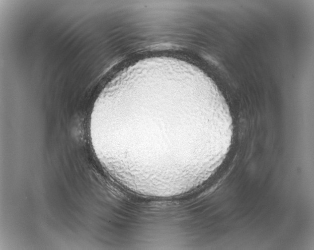 X0000063451305200602171847