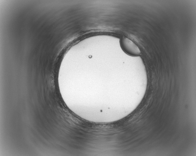 X0000063451307200602171847