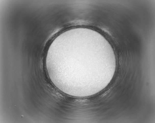 X0000063451309200602171847