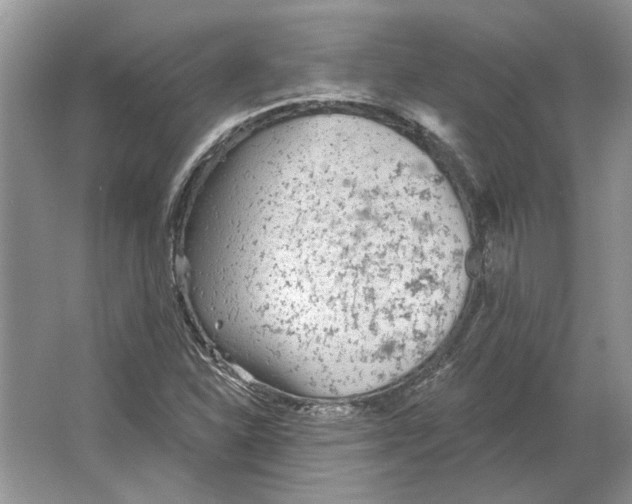 X0000063451310200602171847