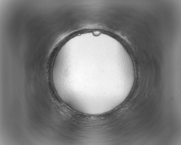 X0000063451311200602171847