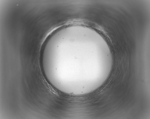 X0000063451312200602171847