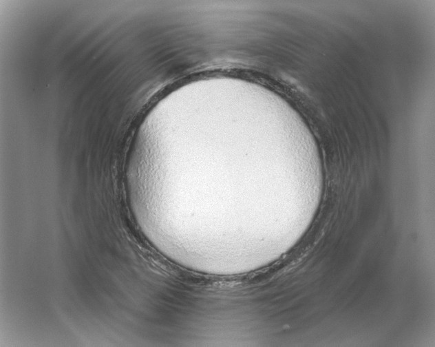 X0000063451313200602171847