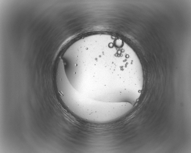 X0000063451314200602171847