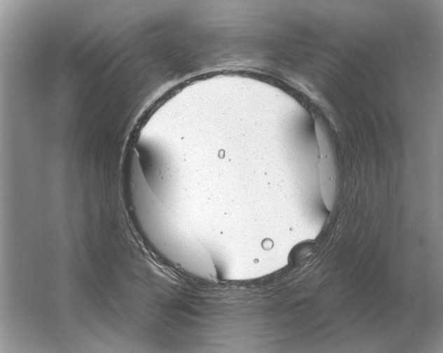 X0000063451316200602171847