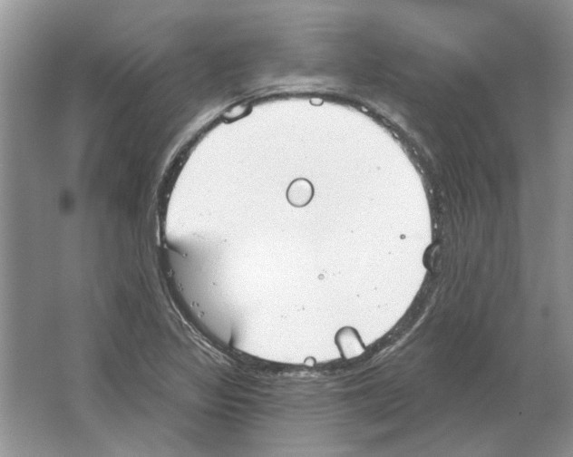 X0000063451317200602171847