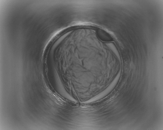 X0000063451319200602171847