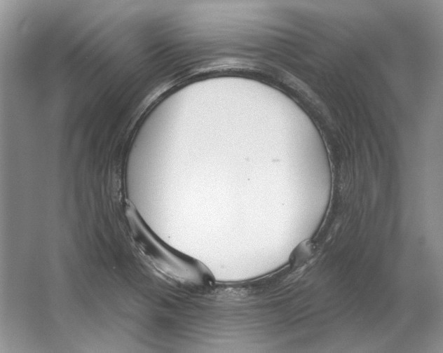 X0000063451321200602171847