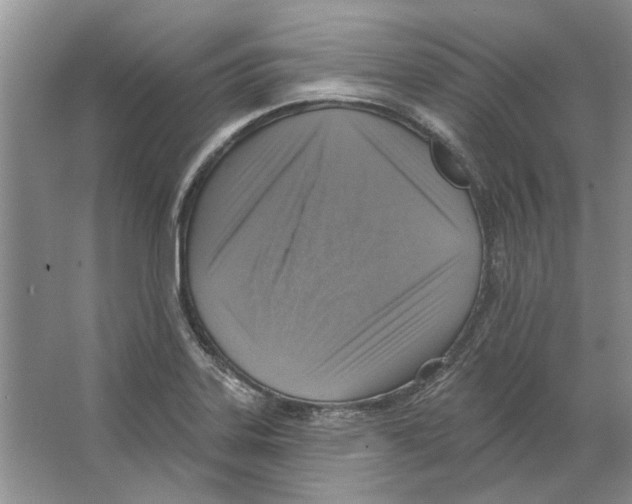 X0000063451323200602171847