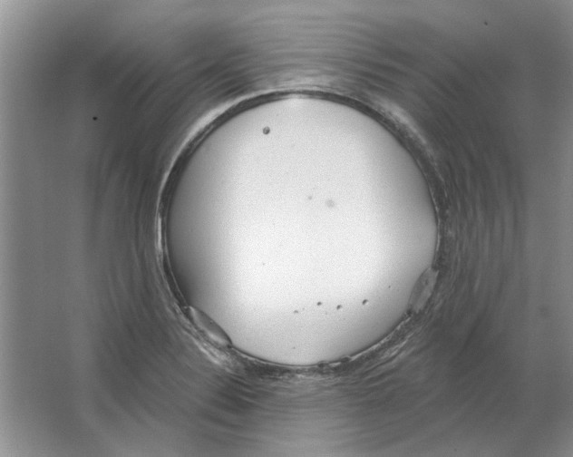 X0000063451324200602171847