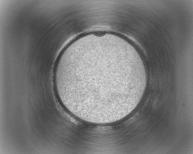 X0000063451325200602171847