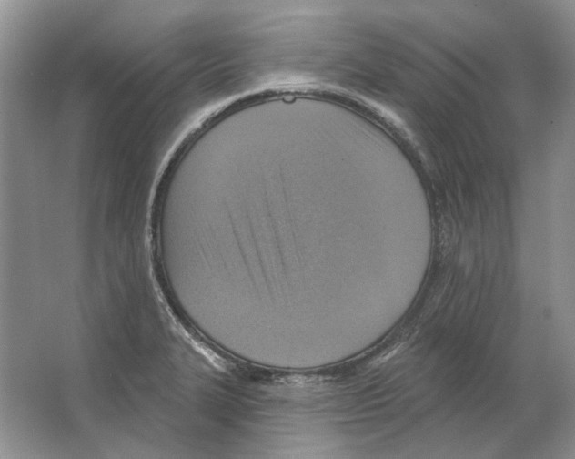 X0000063451327200602171847