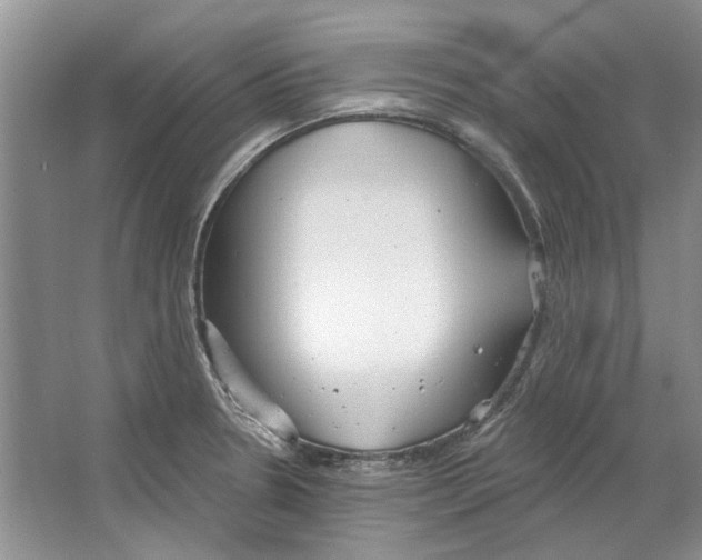 X0000063451330200602171847