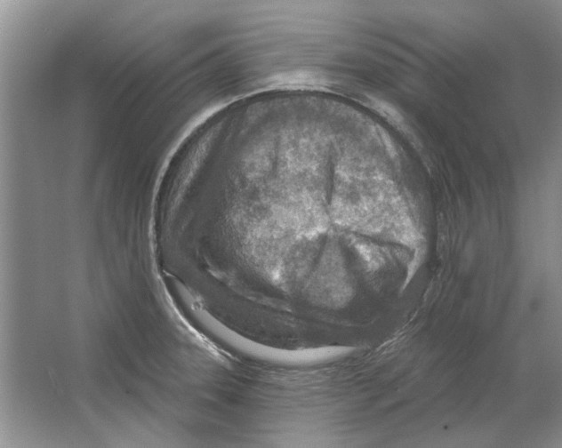 X0000063451331200602171847