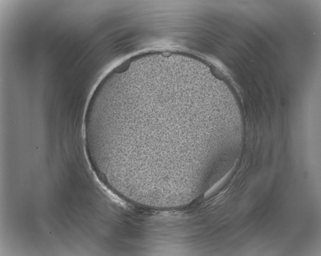 X0000063451335200602171847