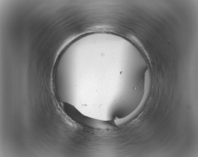 X0000063451336200602171847