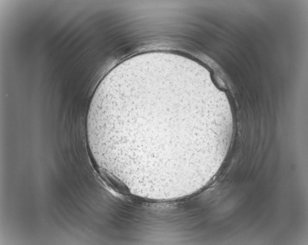 X0000063451337200602171847