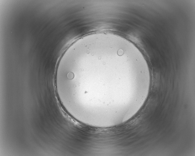 X0000063451338200602171847