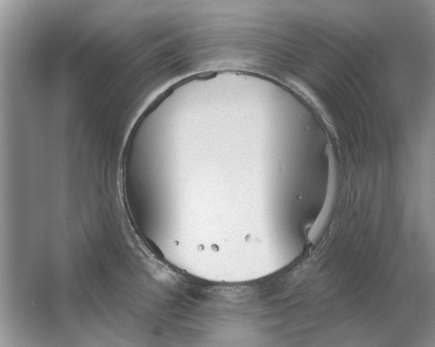 X0000063451340200602171847