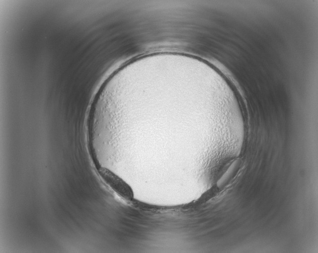 X0000063451341200602171847