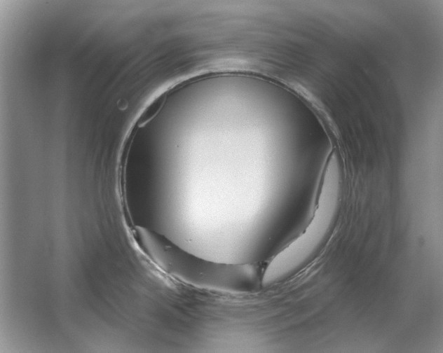 X0000063451342200602171847