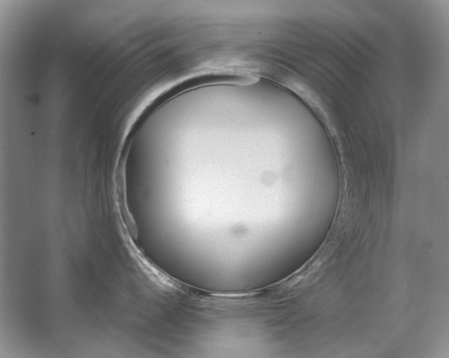 X0000063451344200602171847