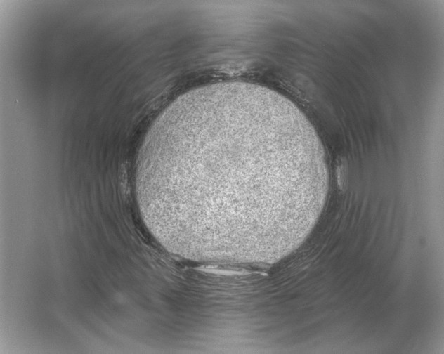 X0000063451347200602171846