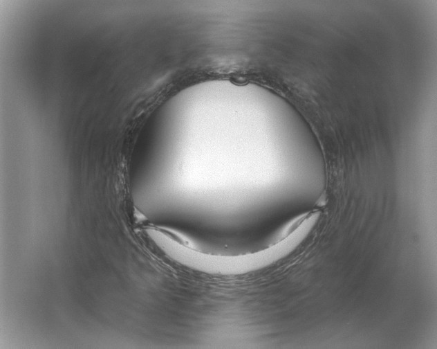 X0000063451349200602171846