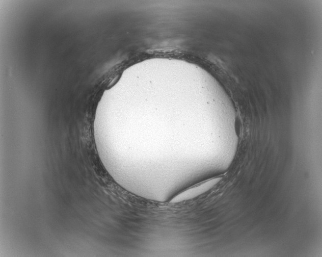 X0000063451350200602171846