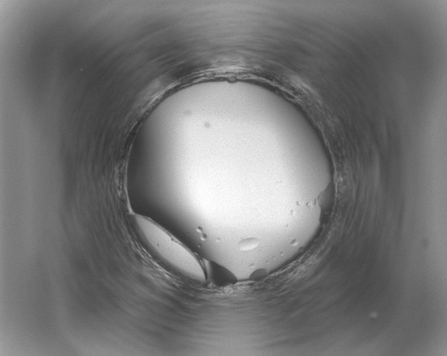 X0000063451353200602171846